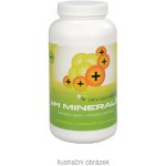Wetyzo pH Minerals Odkyselení organismu 302 g – Hledejceny.cz