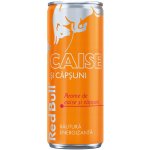 Red Bull Caise Si Căpșuni 250 ml – Zboží Mobilmania
