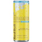Red Bull The Summer Edition Sugarfree Sudachi Lime 250 ml – Sleviste.cz