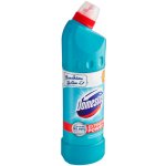 Domestos ruzné druhy vuní 750 ml – Zboží Dáma