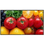 AG Neovo QM-5503 – Sleviste.cz