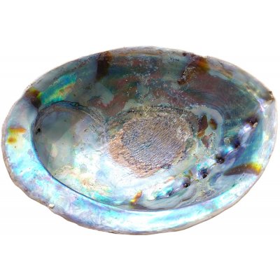 Milujeme Kameny vykuřovací mušle Abalone – Zboží Dáma