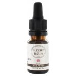 Bachovy květové Bio esence Zeměžluč lékařská Centaury 10 ml – Hledejceny.cz