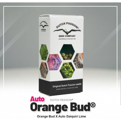 Dutch Passion AUTO Orange Bud semena neobsahují THC 3 ks – Zboží Dáma Dutch Passion AUTO Orange Bud semena neobsahují THC 3 ks – Zboží Dáma