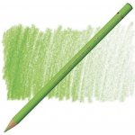 Faber-Castell Polychromos 1101 světle zelená 171 – Zboží Mobilmania