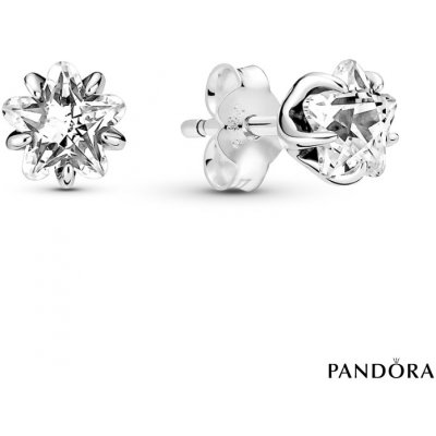 Pandora 290023C01 – Zboží Dáma