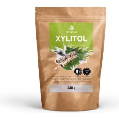 Allnature Xylitol březový cukr 250 g – Zboží Dáma