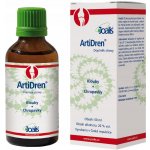 Joalis ArtiDren klouby 50 ml – Hledejceny.cz