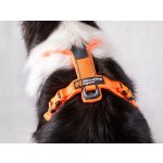 Non Stop Postroj pro psy dogwear Line harness 5.0 – Zboží Dáma