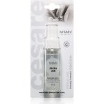 Mr&Mrs Fragrance Cesare Spray Fresh Air – Hledejceny.cz