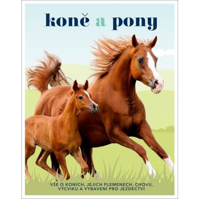 Caroline Stamps Koně a pony. Vše o koních, jejich plemenech, chovu, výcviku a vybavení pro jezdectví – Hledejceny.cz