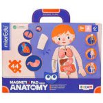 MierEdu magnetická tabulka Lidské tělo – Zboží Mobilmania