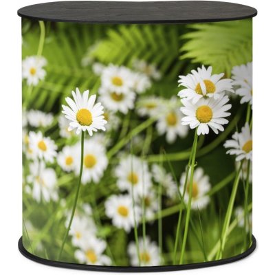 Jansen Display Promostolek Professional Original M černý, 900 x 930 mm – Zboží Mobilmania