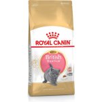 Royal Canin British Shorthair pro koťata 10 kg – Zboží Mobilmania