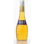 Bols Banana 17% 0,7 l (holá láhev) – Sleviste.cz