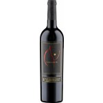 Long Shadows Pirouette červené 2018 14,6% 0,75 l (holá láhev) – Hledejceny.cz