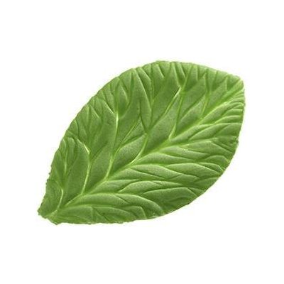 Žilkovač list Foglia 100x60mm - Silikomart – Hledejceny.cz