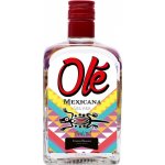 Mexicana Silver 38% 0,7 l (holá láhev) – Zbozi.Blesk.cz