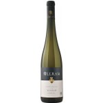 Weingut Allram Ried Renner 1ÖTW Veltlínské zelené suché bílé 2021 13,5% 0,75 l (holá láhev) – Hledejceny.cz