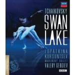 Swan Lake: Mariinsky Ballet DVD – Hledejceny.cz