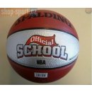 Spalding NBA School