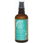 Tierra Verde Osvěžovač vzduchu - BIO Chladivé osvěžení 100 ml – Sleviste.cz