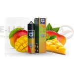 Infamous NOID mixtures Mango Tart 10 ml – Hledejceny.cz