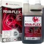 Roxia Pharma RIVA-FLEX kloubní výživa 1 l – Hledejceny.cz