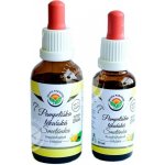 Salvia Paradise Pampeliška lékařská AF tinktura 30 ml – Hledejceny.cz