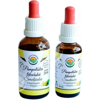 Salvia Paradise Pampeliška lékařská AF tinktura 30 ml