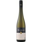 Weingut Allram Ried Hasel 2020 Veltlínské zelené 2,5 g/l suché bílé 2020 12,5% 0,75 l (holá láhev) – Hledejceny.cz