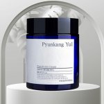 Pyunkang Yul Nutrition Cream výživný krém 100 ml – Hledejceny.cz
