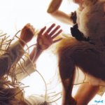 CHRYSALIS RECORDS LUMP - Animal - Feat. Laura Marling & Mike Lindsay LP – Zboží Mobilmania