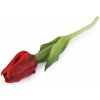 Květina Prima-obchod Umělý tulipán, barva 5 červená