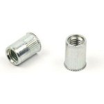 Nýtovací matice s malou záp.hlavou M10 / balení 250 ks – Sleviste.cz