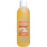 Saloos Bio olejový extrakt Rakytníkový 1l – Sleviste.cz