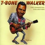 Walker T-Bone - Essential T-Bone Walker CD – Hledejceny.cz