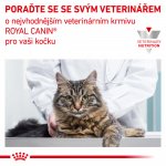 Royal Canin Veterinary Diet Cat Diabetic 12 x 85 g – Zboží Mobilmania