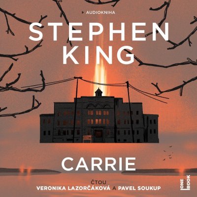 Carrie - Stephen King - čtou Veronika Lazorčáková a Pavel Soukup – Hledejceny.cz