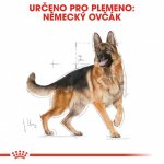 Royal Canin German Shepherd Adult 12 kg – Hledejceny.cz