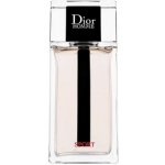 Christian Dior Sport toaletní voda pánská 125 ml – Hledejceny.cz