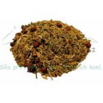Koňské bylinky Bylinková směs proti schvácení 1 kg – Zboží Mobilmania
