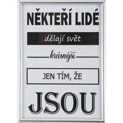 Bondecor Fotorám FAST - stříbrný Velikost: 21x29,7 – Zboží Živě