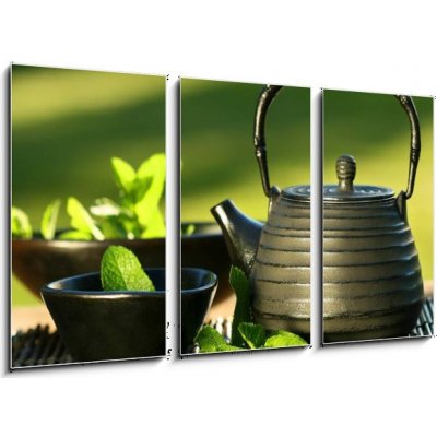 Obraz 3D třídílný - 90 x 50 cm - Black iron asian teapot with sprigs of mint for tea Černá železná asijská čajová konvice s větvičkami na čaj – Zboží Mobilmania