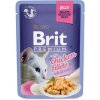 Brit Premium Cat Chicken in Jelly 85 g