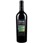 Cantolio Primitivo Di Manduria ‘TEMA‘ Riserva DOP 2017 15% 0,75 l (holá láhev) – Hledejceny.cz