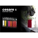Mr&Mrs Fragrance Cesare Scented Cards Cedar Wood – Zbozi.Blesk.cz