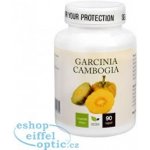 Natural Medicaments Garcinia Cambogia 90 kapslí – Hledejceny.cz