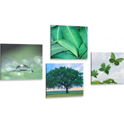 Set obrazů příroda plná zeleně - 4x 40x40 cm – Zboží Mobilmania