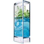 Globus Educational Forest Ant Mini Antquarium gelové mraveniště – HobbyKompas.cz